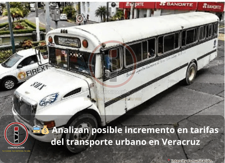 camiones