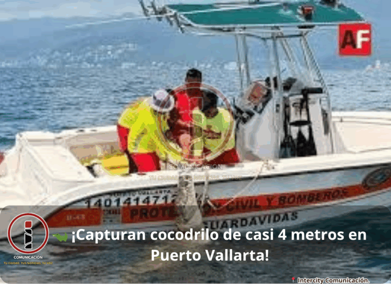 cocodrilo