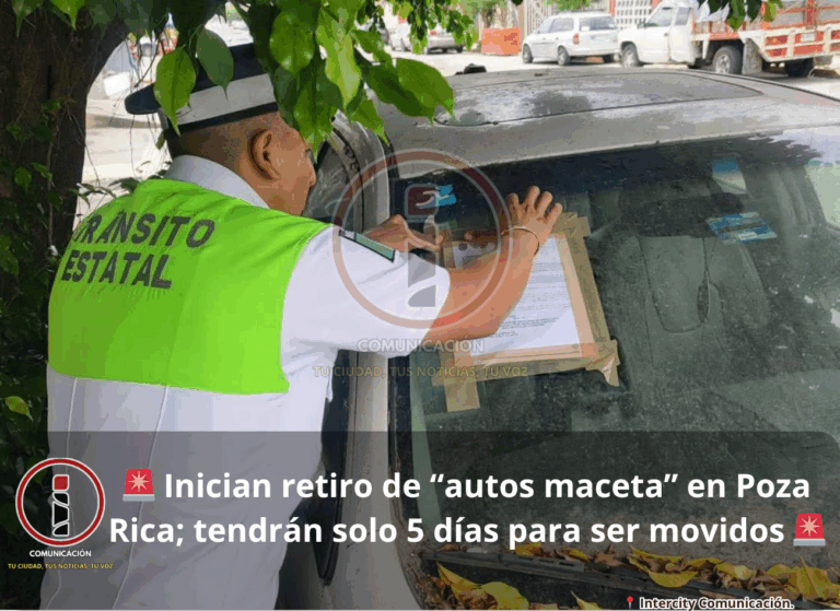 maceta