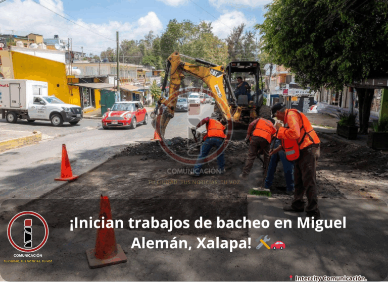 migul aleman