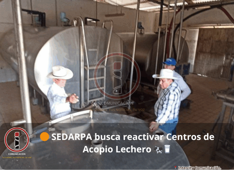 sedarpa1