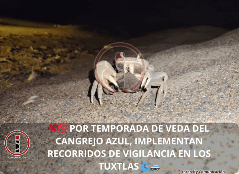 cangrejo aul