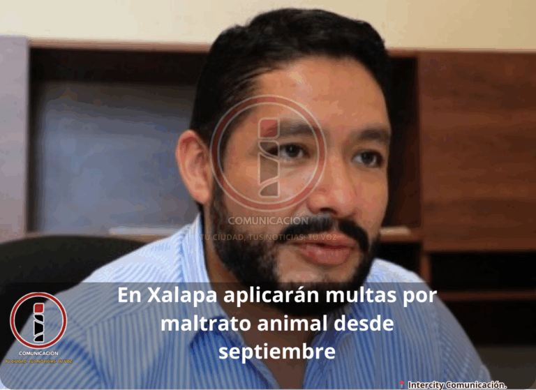maltrato