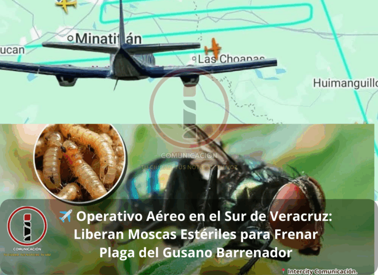 operativ