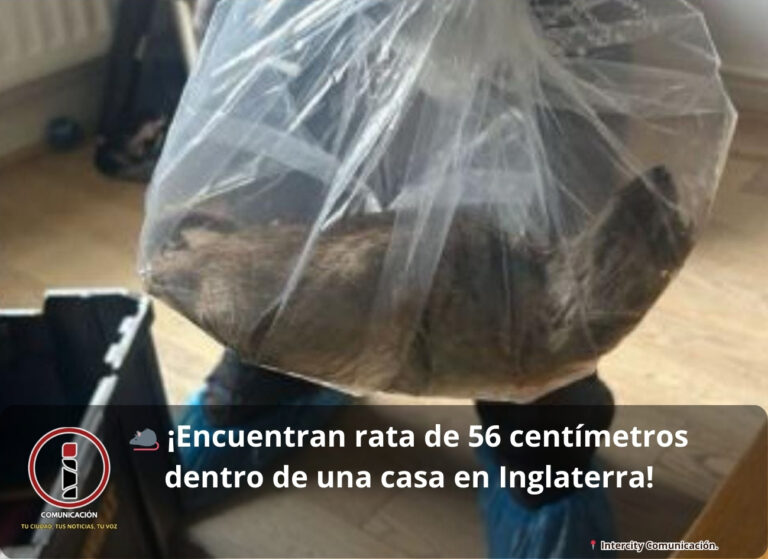 rata