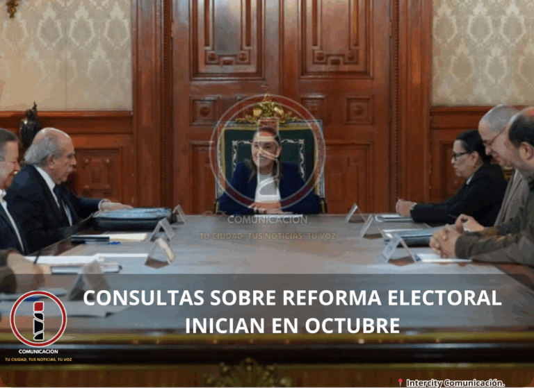 reforma electoral