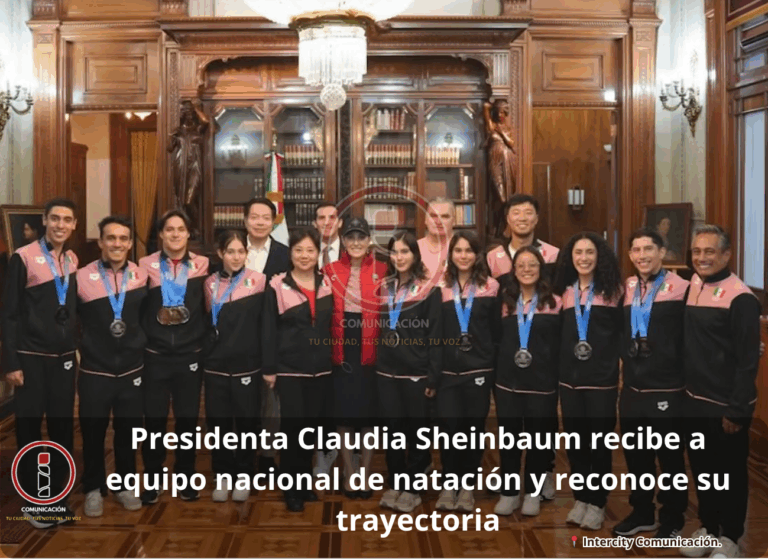 sheinbau