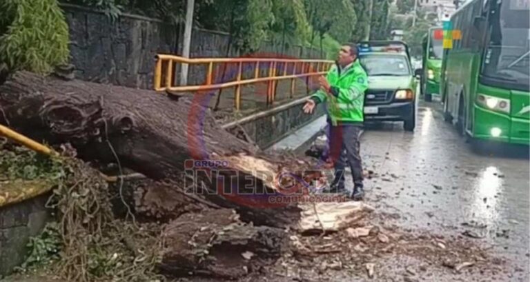 Copia de CRISTINO AGUILAR (9)