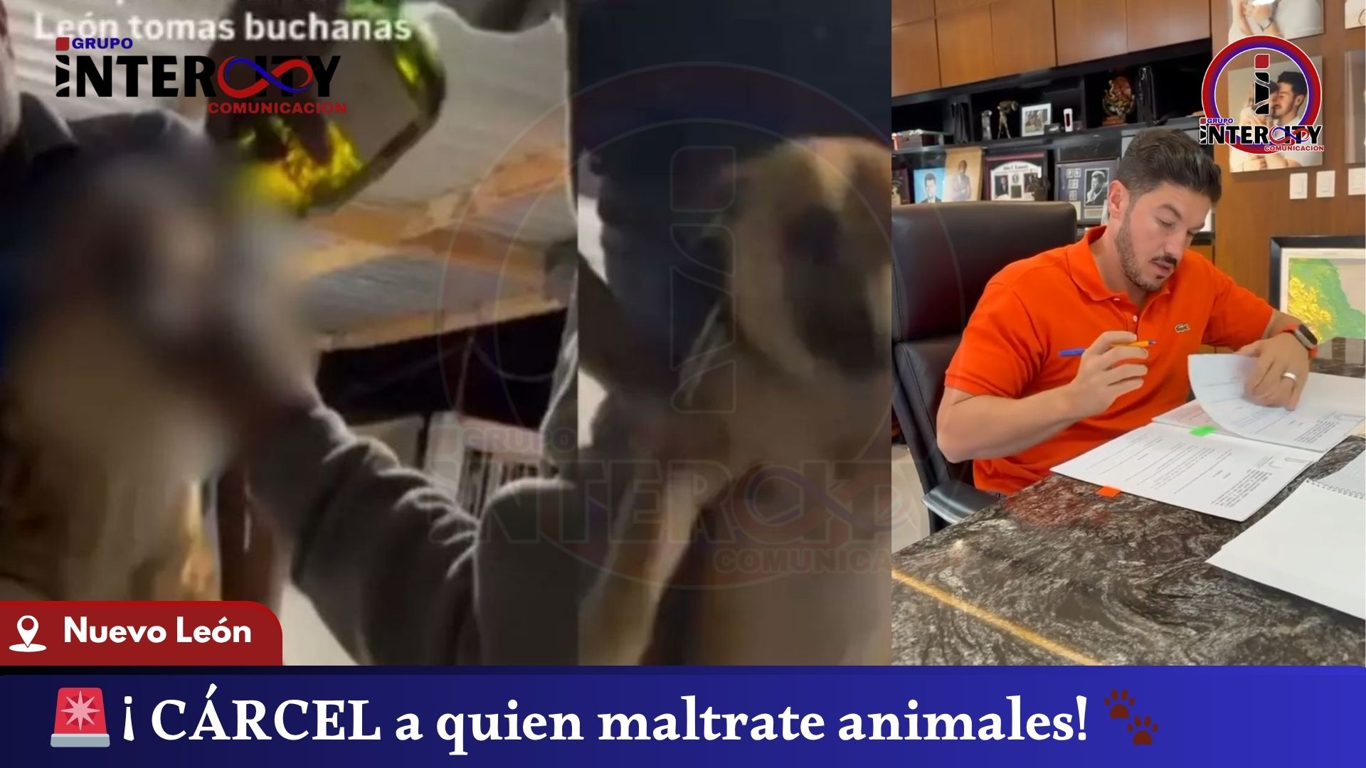 PLANTILLA NOTICIAS