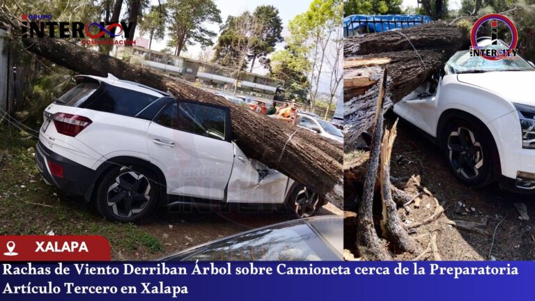PLANTILLA NOTICIAS