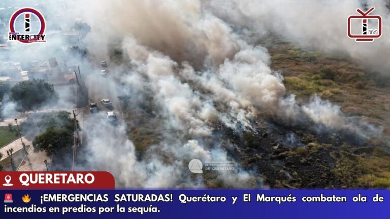 PLANTILLA FOTOS NOTICIAS  (Vídeo)