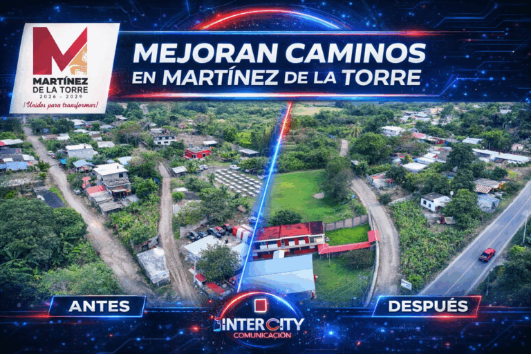 mtnez plantilla